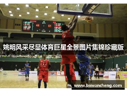 姚明风采尽显体育巨星全景图片集锦珍藏版